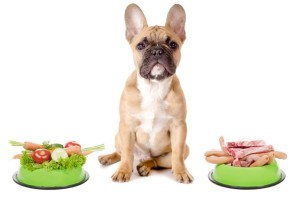 choosing a pet food