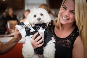 Your Paw-fect Wedding