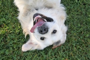 Bailey's Spring Break