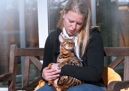 Cat Socialization