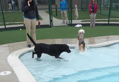 Cold Weather Swimming