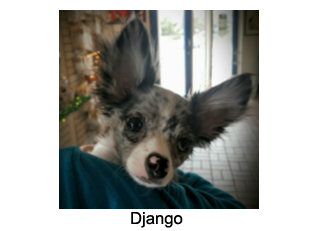 Django