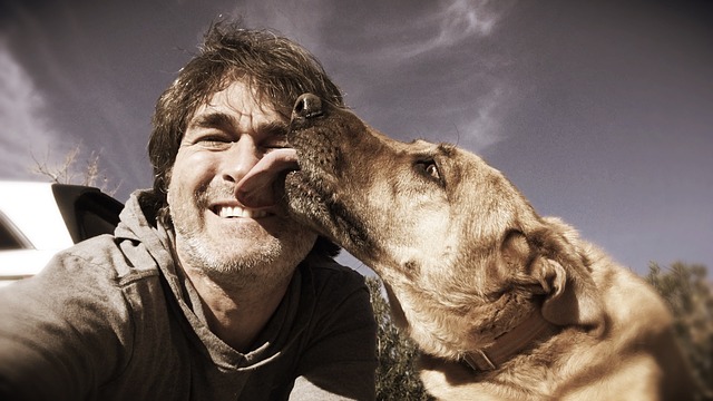 Dog kissing its owner