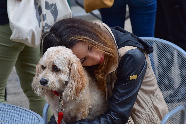 Dog Sharing