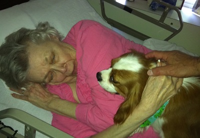 Dogs Know When We're sick