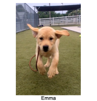 Emma