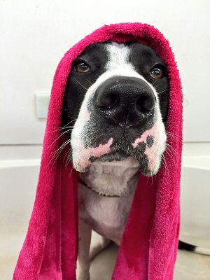 grooming safety