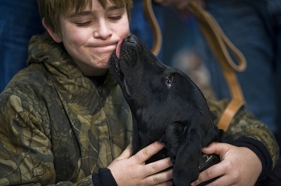 Hunting Dogs