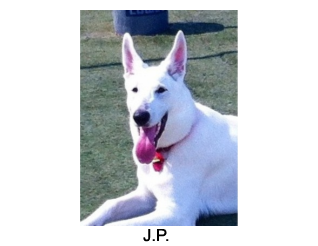 J.P.