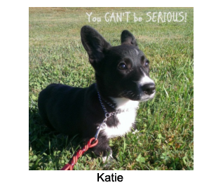 Katie