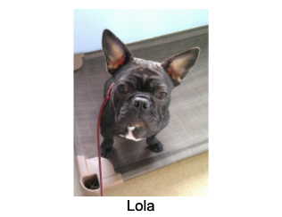 Lola