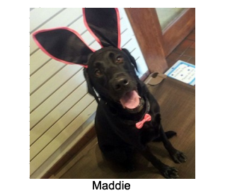 Maddie