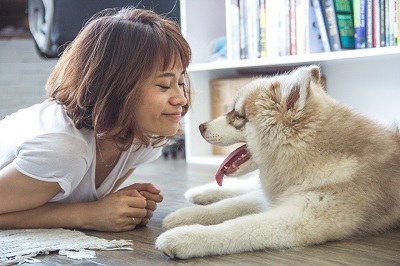 Spending More Time with your Dog