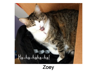 Zoey