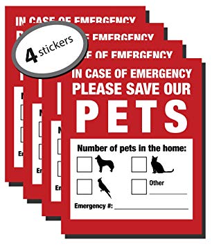 Window Decals available at Amazon.com