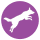 Jumping